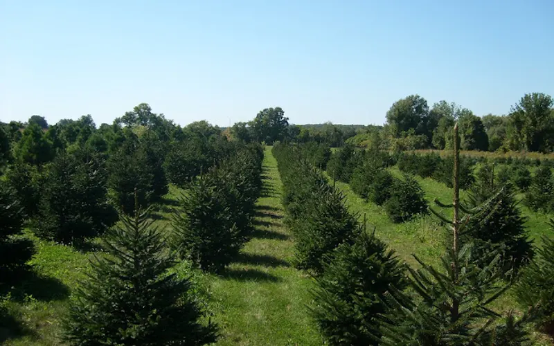 Countrycare Landscape Management, Inc. — Landscaper