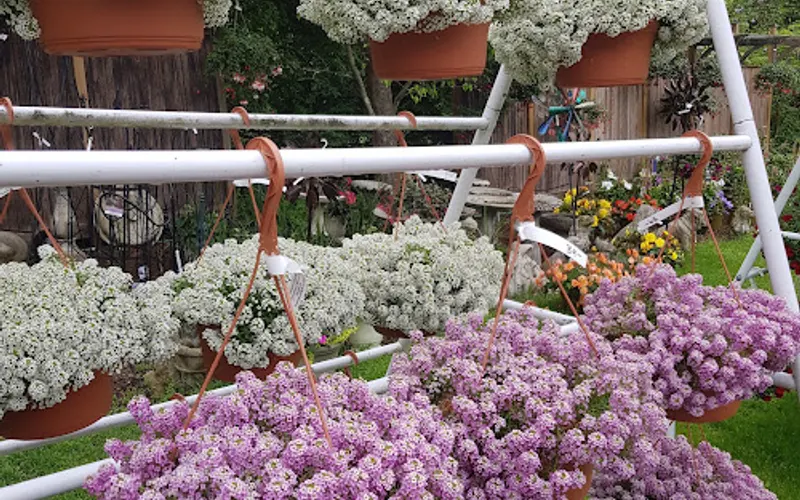 Colonial Gardens — Garden center