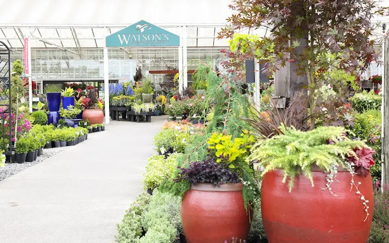 Watson's Greenhouse and Nursery — Garden center