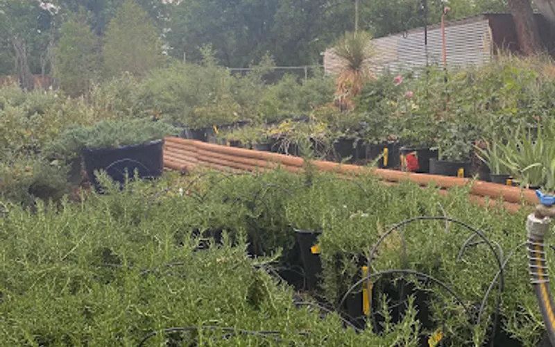Natura Greenhouse — Plant nursery