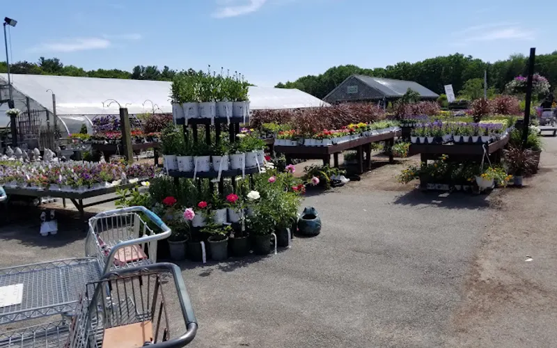 Mahoney's Garden Center — Garden center