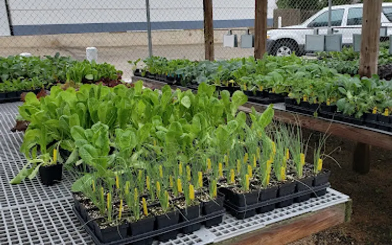 The Plant Haus — Garden center