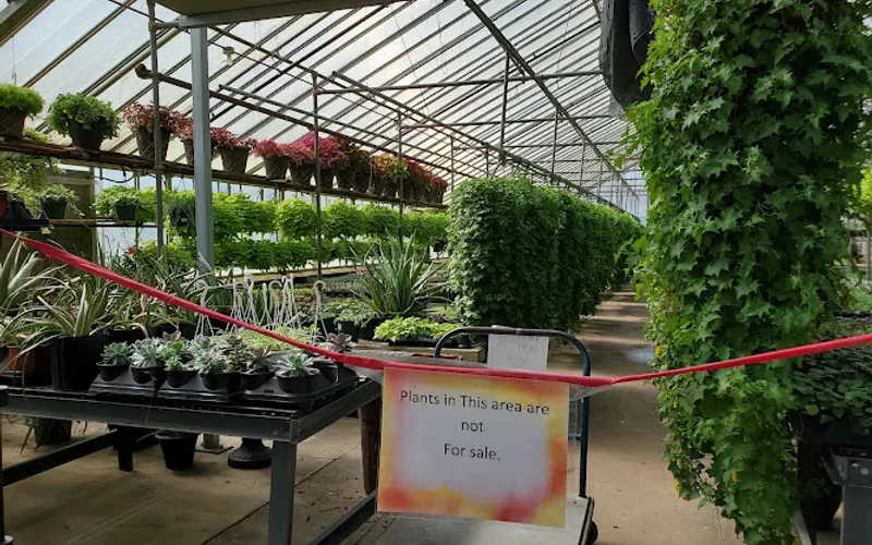 May's Floral Garden — Garden center
