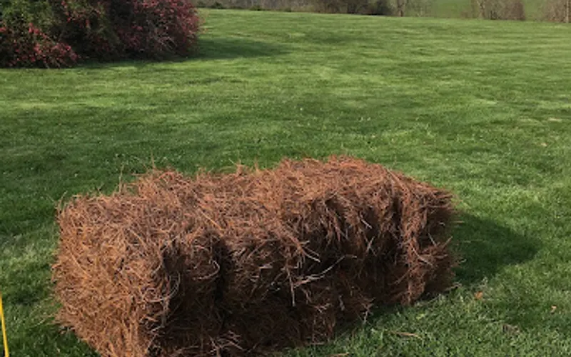 Mid-Atlantic Pine Straw Mulch Inc. — Landscaping supply store