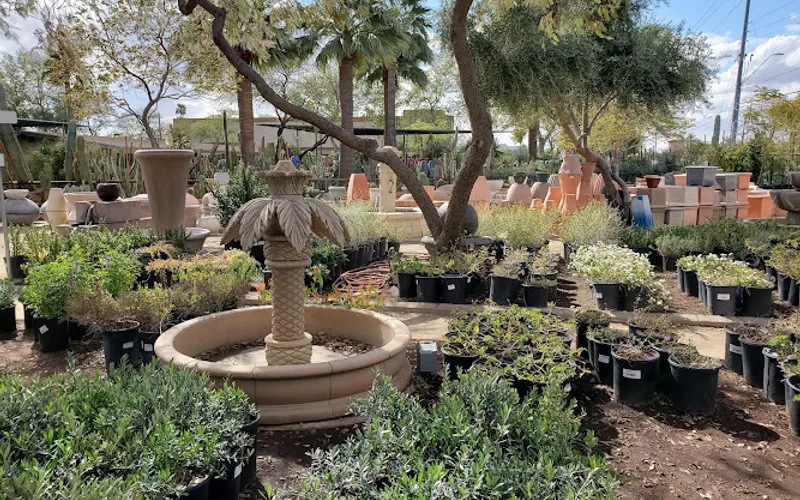 The Green Goddess — Garden center