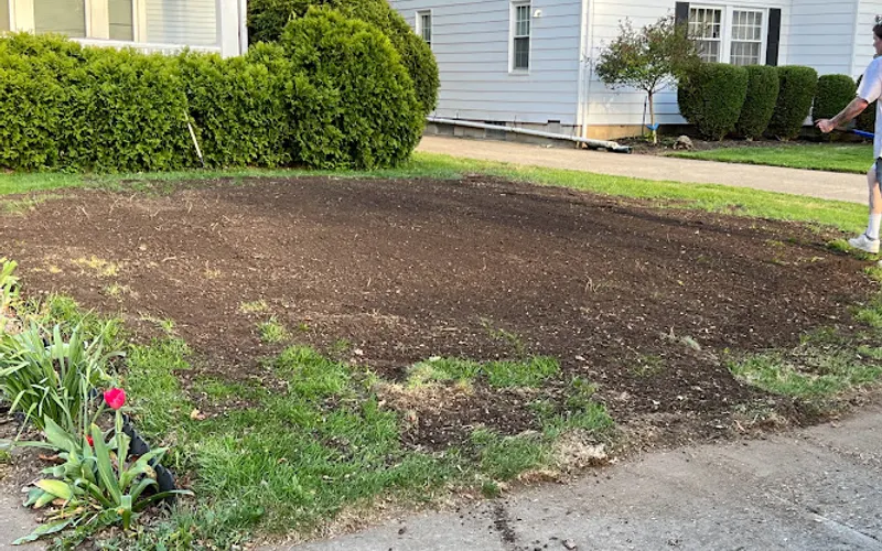 Coleman Lawn and Tree Services — Tree service