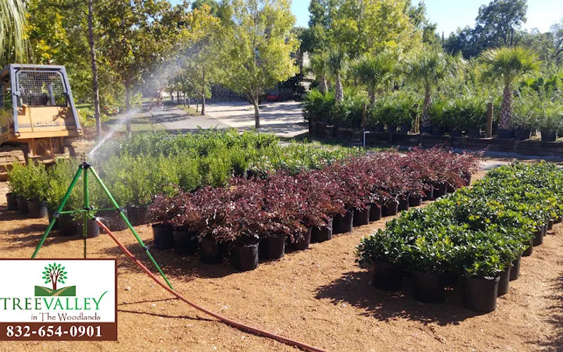 Tree Valley Nursery inc The Woodlands — Garden center