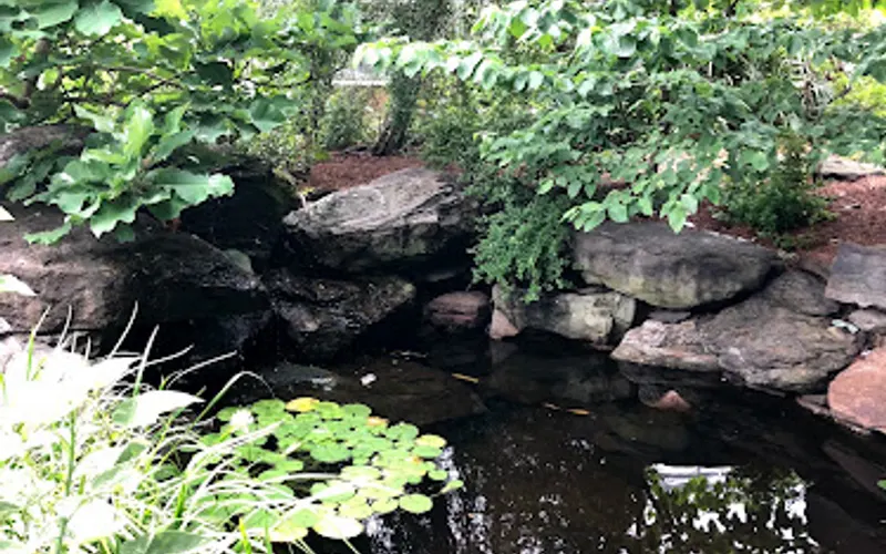Cedar Road Garden Center and Landscaping — Landscaper