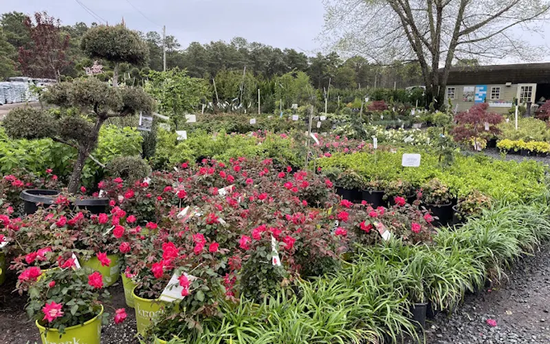 JMJ Farm — Garden center