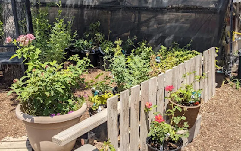 Rehm's Nursery and Garden Center — Garden center