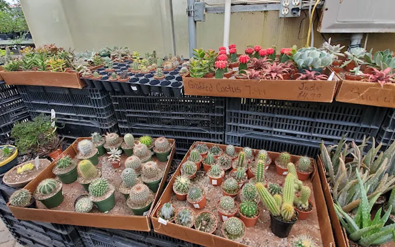 5 Oaks Lawn and Garden Center — Garden center