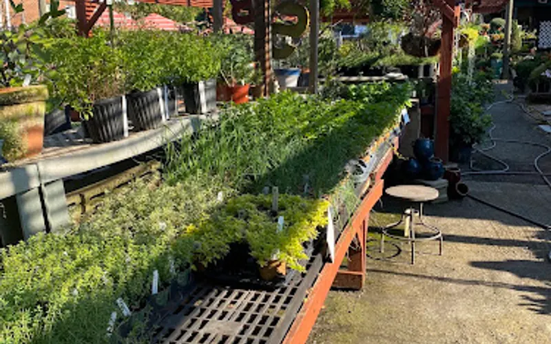 Banner Nursery & Garden Center — Garden center