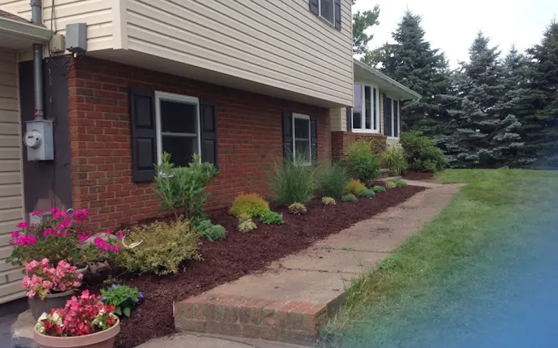 Northeast Tree Service & Excavating — Excavating contractor
