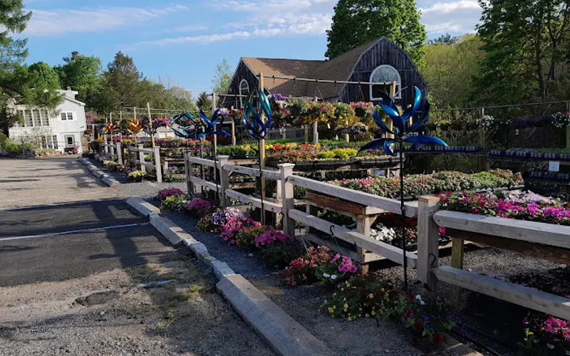Sterling Greenery Too — Garden center