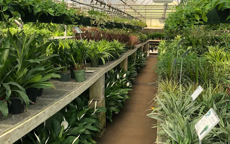 Oak Creek Plants & Flowers — Florist