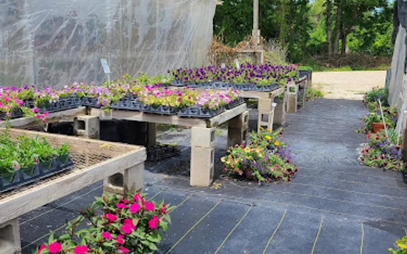 Hains Greenhouses, Inc. — Plant nursery