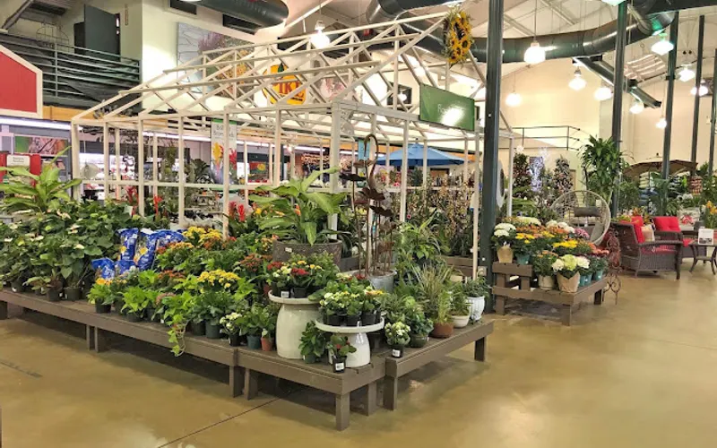 Pike Nurseries — Landscaper