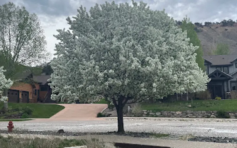Rivendell Distribution, Inc. — Landscaping supply store