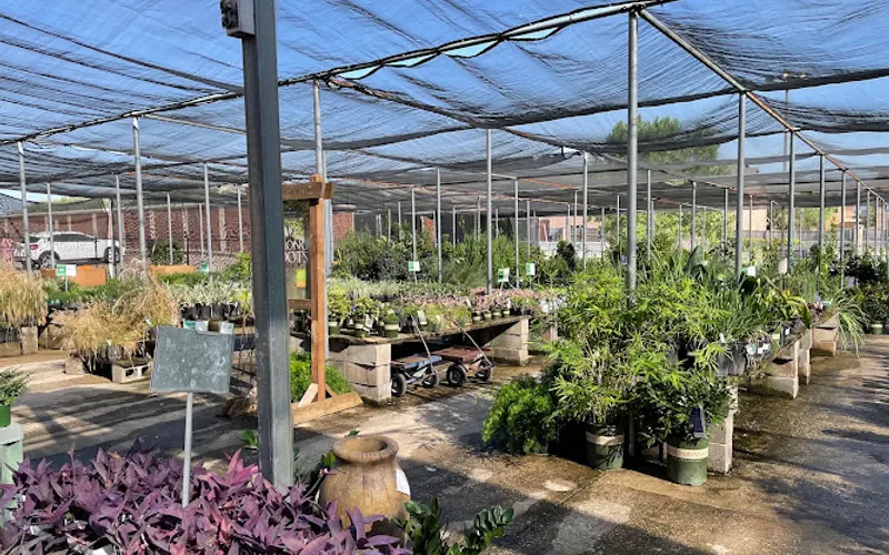 Calloway's Nursery — Garden center