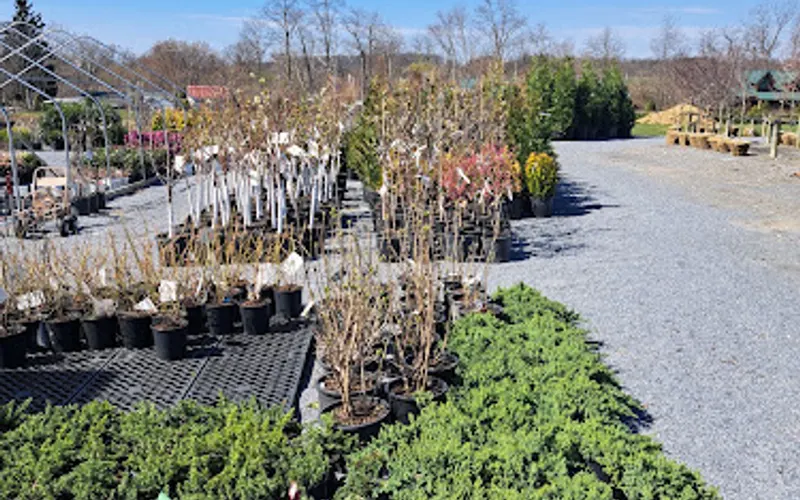 Sunset Acres Nursery — Plant nursery