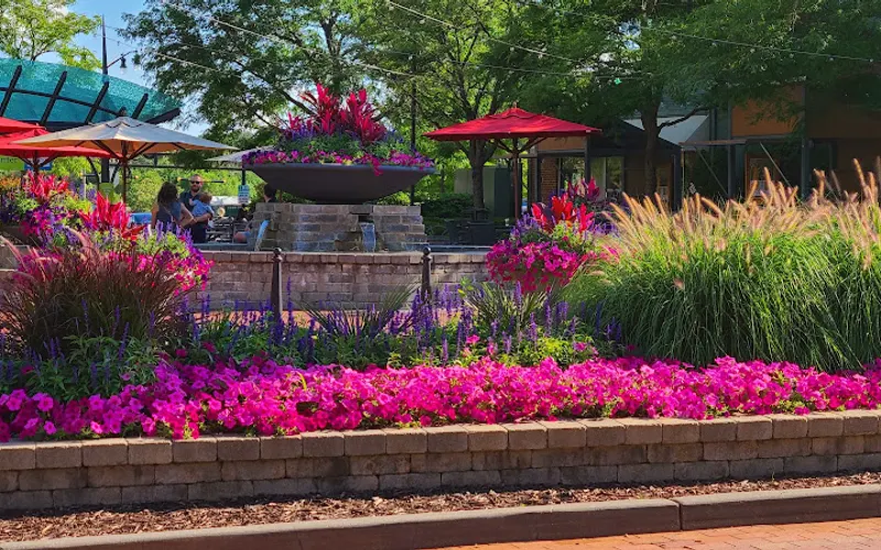 Begonia Brothers Services — Landscape designer