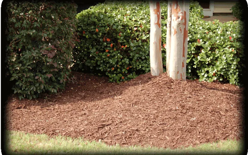Mulch Pro — Landscaping supply store