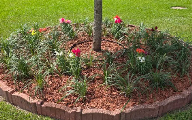 All Seasons Nursery & Landscaping, Inc — Landscaper