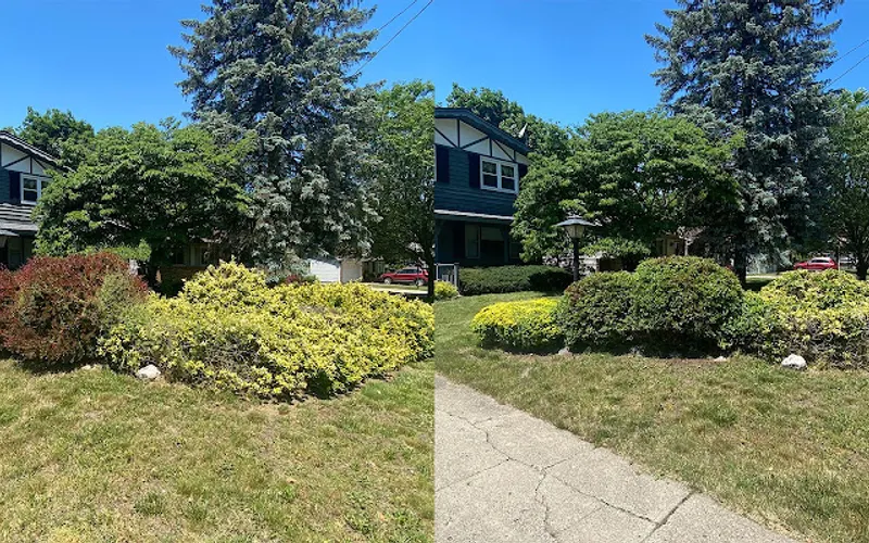 Groot Services LLC — Arborist and tree surgeon