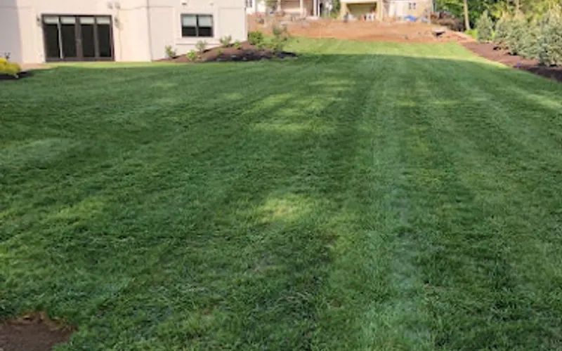 Lakeside Sod Supply Co Inc — Sod supplier