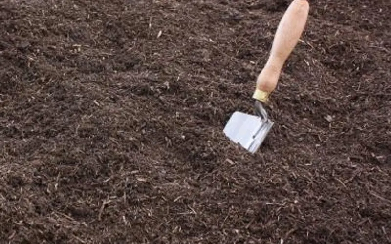 Soil Rejuvenation — Mulch supplier