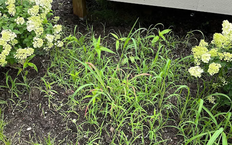 Woodstock Landscaping & Excavating LLC — Excavating contractor