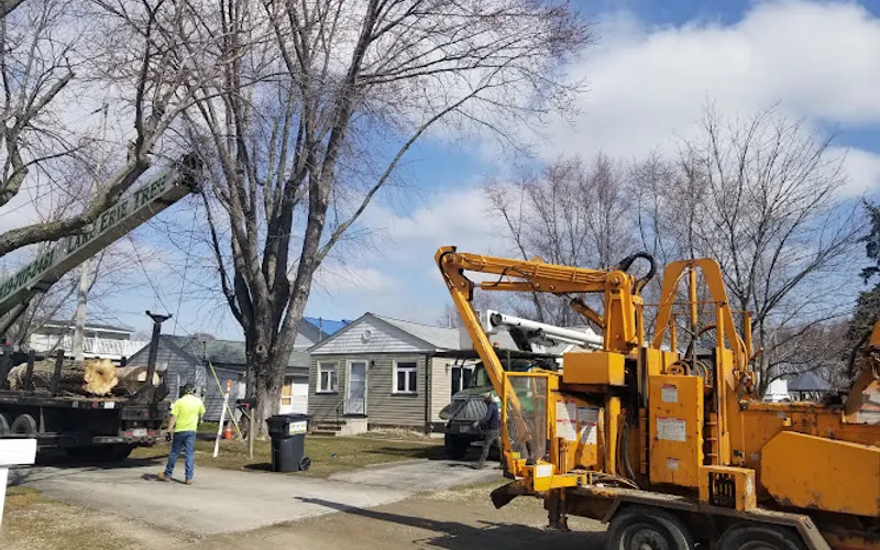 Lake Erie Tree Service L.L.C. — Tree service