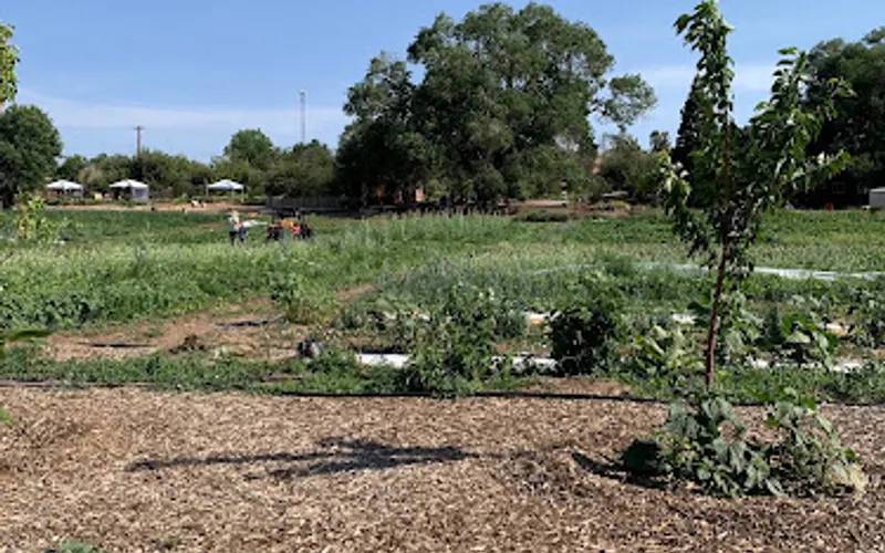 Reunity Resources (Soil Yard Hours Below) — Farm