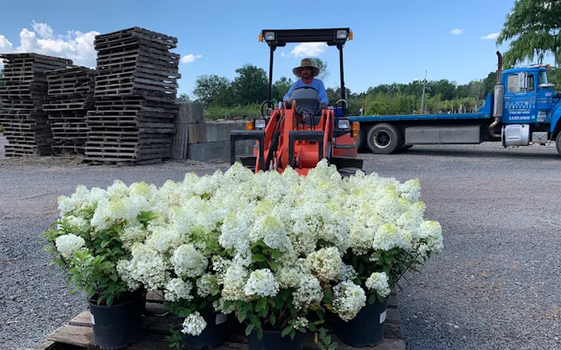 Barton Nurseries — Plant nursery