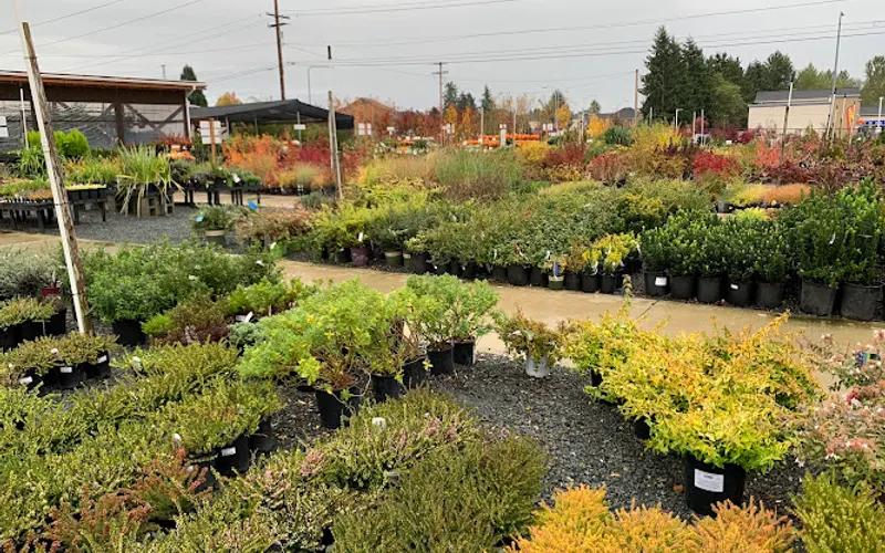 Kent East Hill Nursery — Plant nursery