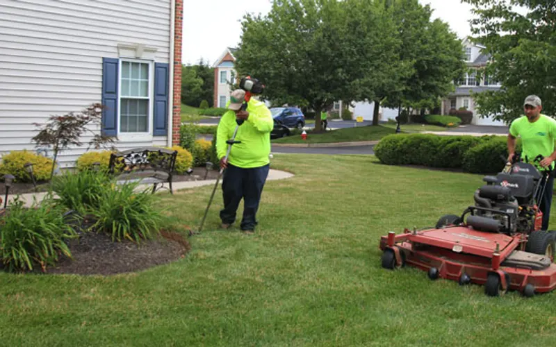 DiSandro Landscape Group — Landscaper