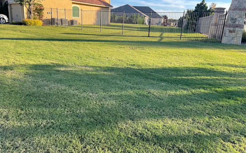 My Neighbor Services — Lawn care service
