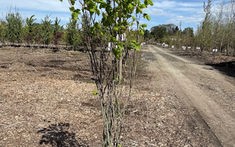MB Nursery & Landscaping Supply, LLC — Landscaping supply store