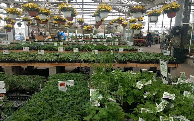 Chuck Hafner's Farmers Market and Garden Center — Garden center