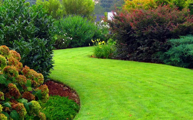 Chop Chop Landscaping — Landscaper