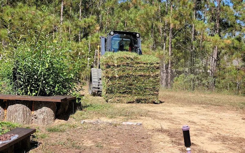 Garcia Grass Humble Tx — Sod supplier