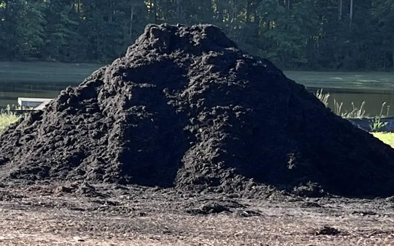 Professional Stone & Masonry — Topsoil supplier