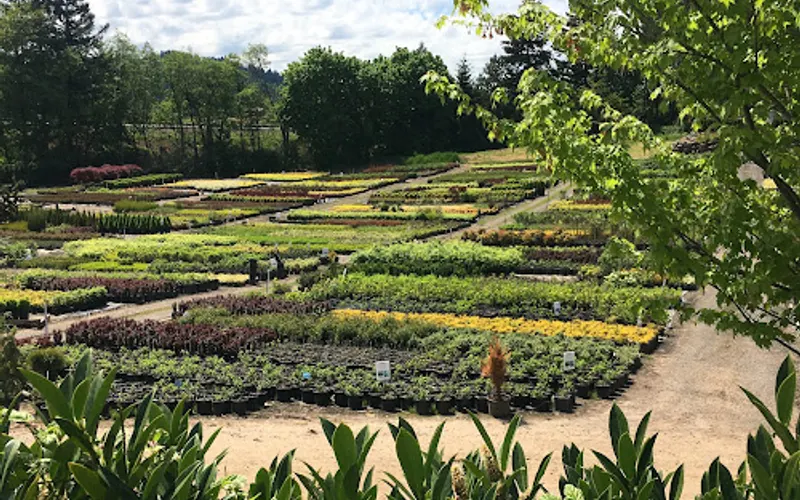 Richardson Nursery — Garden center