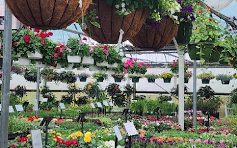 Canton Road Garden Center Inc — Garden center