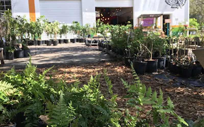 Roots and Shoots Nursery — Landscaping supply store