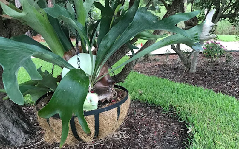 Kathy's Creative Gardens — Landscaper