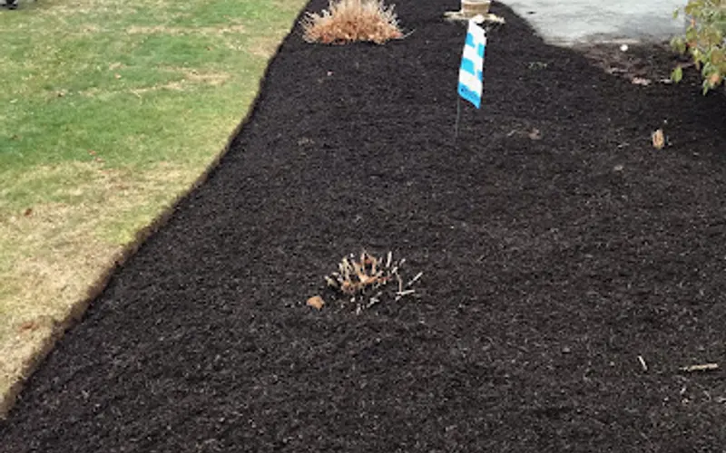 Bombaci Mulch, LLC — Mulch supplier
