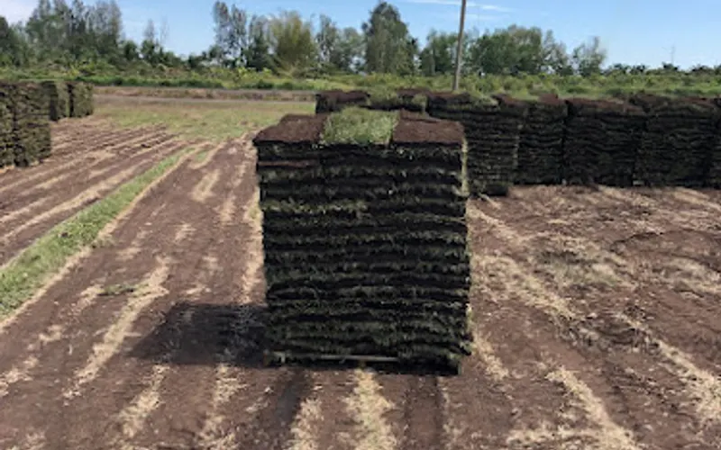 Travis Resmondo Sod inc — Topsoil supplier