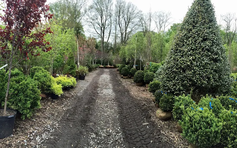 Ridgeway Garden Center — attractions