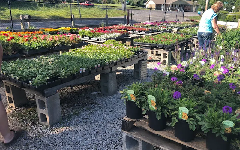 The Garden — Garden center